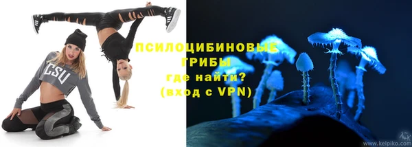 гидропоника Мегион
