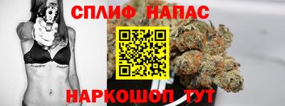 шишки Бийск