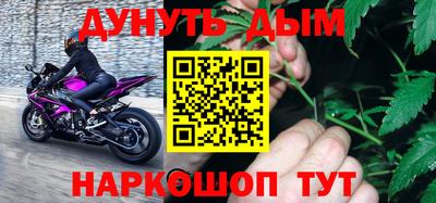 шишки Бийск
