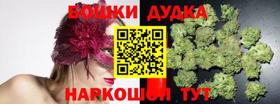 шишки Бийск