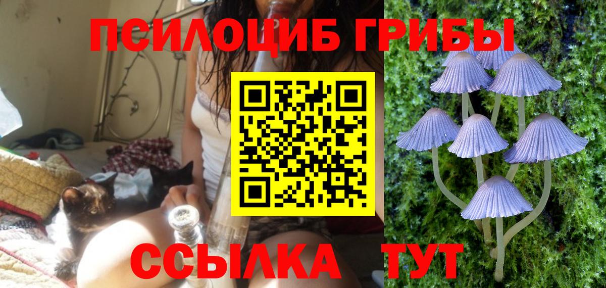 Псилоцибиновые грибы Magic Shrooms Бирск