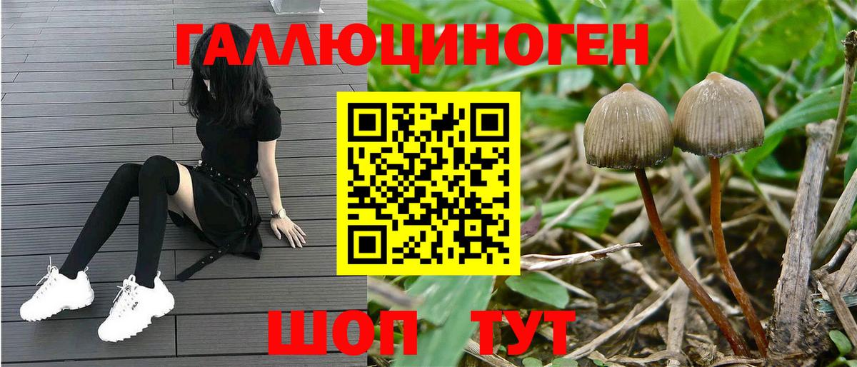 Галлюциногенные грибы MAGIC MUSHROOMS Бирск