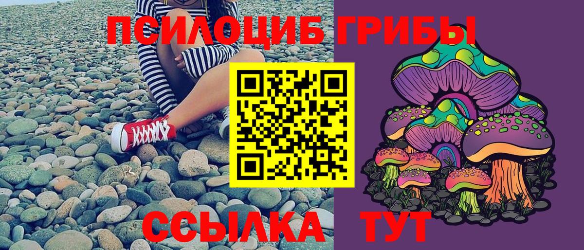 Галлюциногенные грибы мицелий  Галлюциногенные грибы Psilocybine cubensis  Бирск 